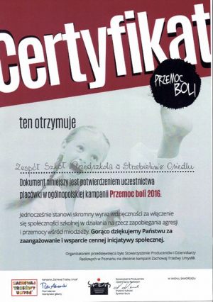 <span  class="uc-style-168758796324" style="color:#ffffff;">Certyfikat uczestnictwa w ogólnopolskiej kampanii "Przemoc Boli 2016" dla ZSiP w Strzebielinie</span>